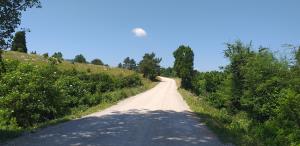 Cesta Zagorje Bač